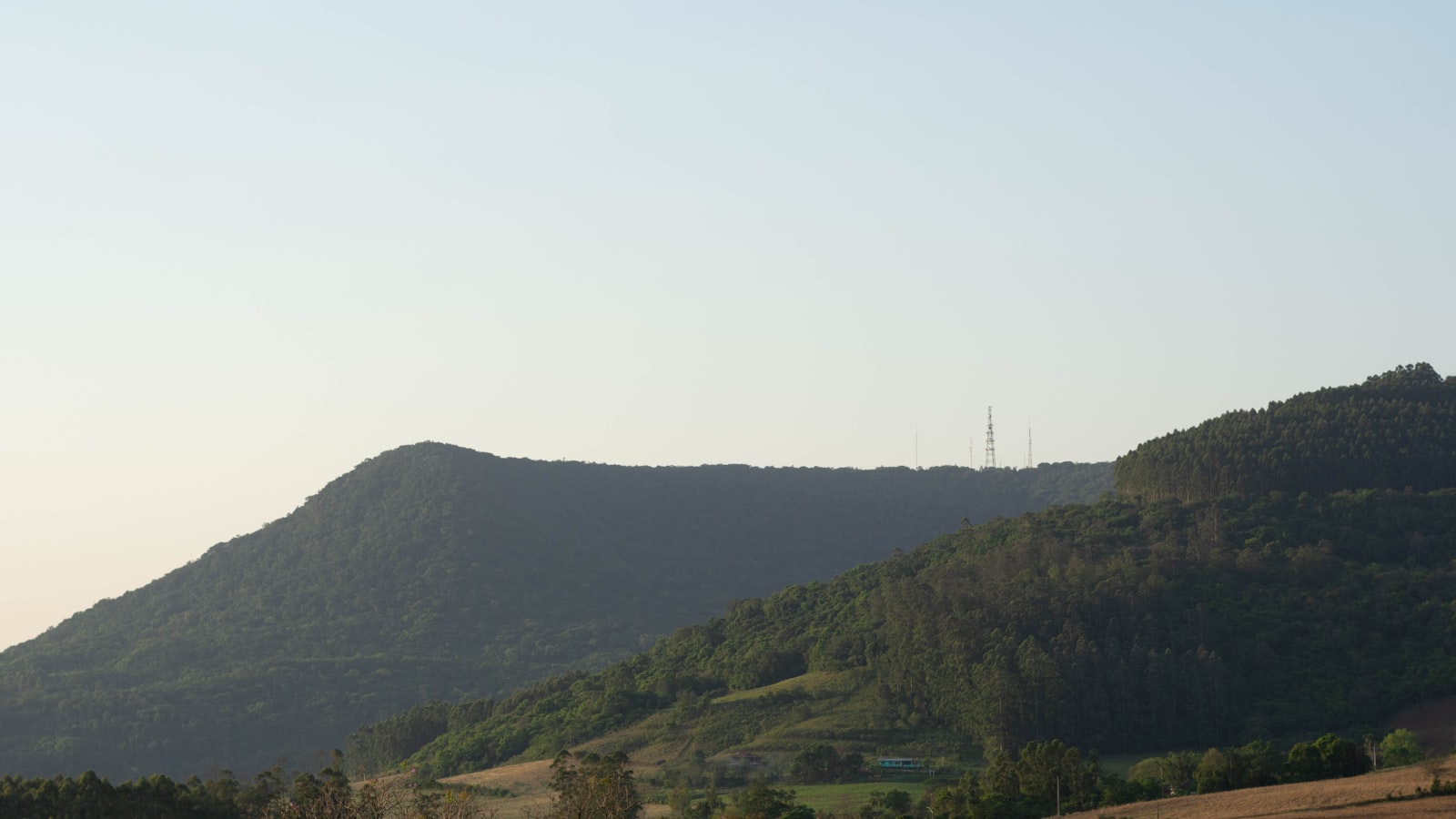 Cimiez — accès camion déménagement, façades typiques, parking